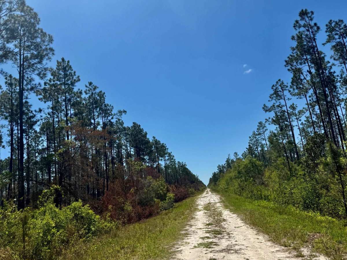 Rake Creek Road trail photo