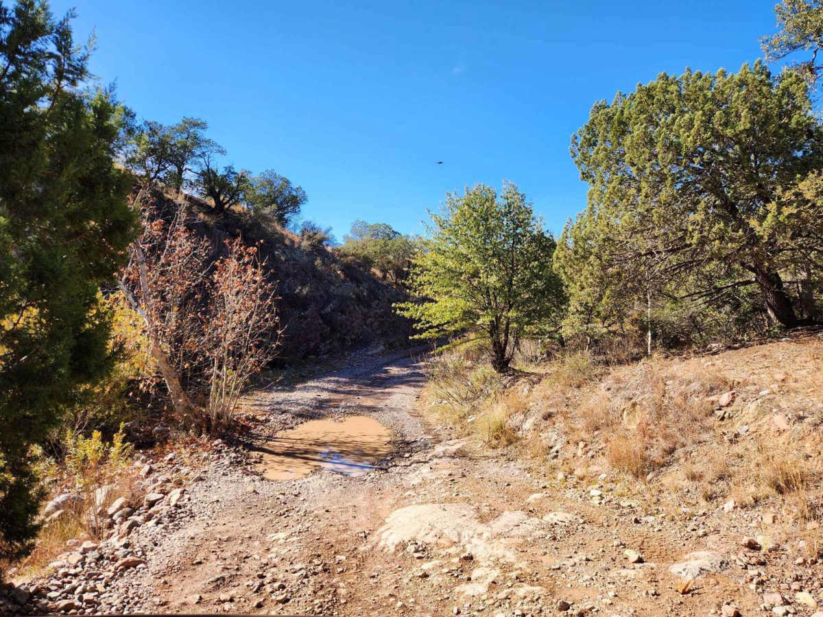 Gardner Canyon FR 92 photo 5