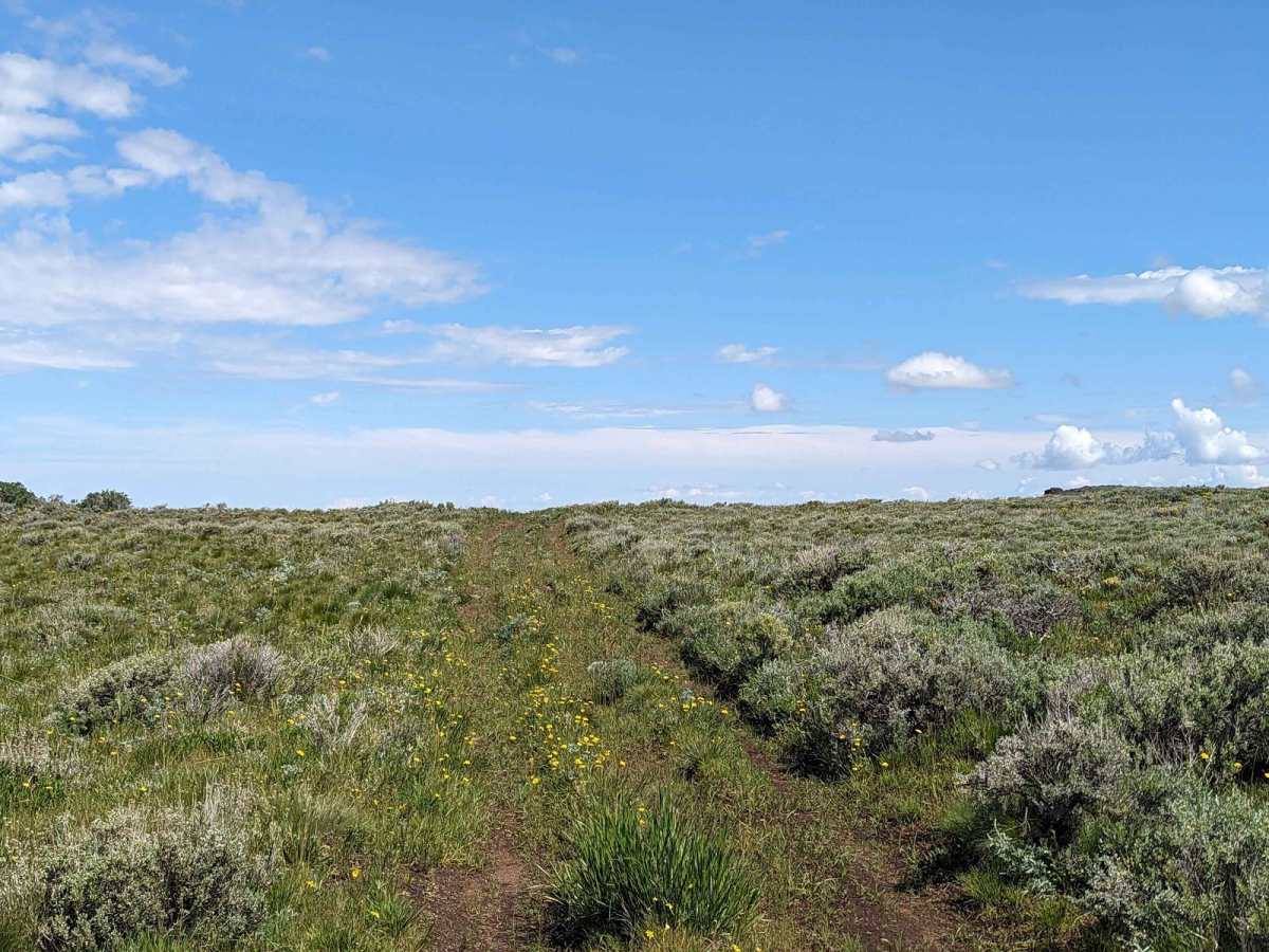 Kiger Mustang Viewing Area Road photo 3