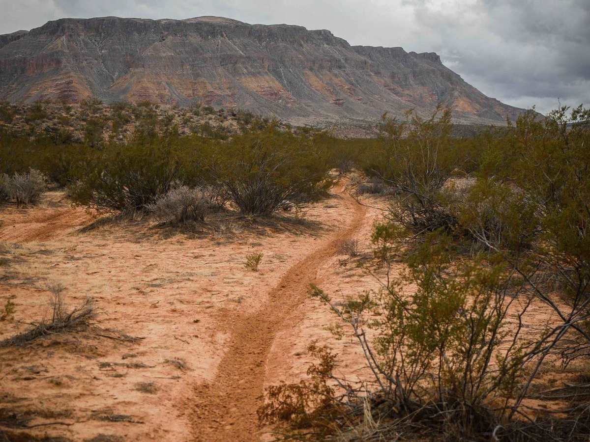 2048 Single Track trail photo