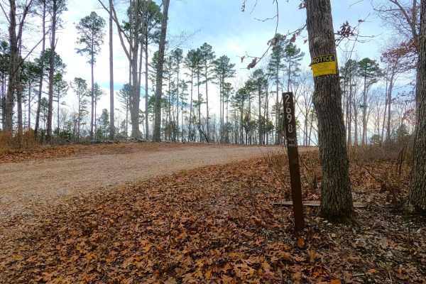Snapps Hollow - FS 2698