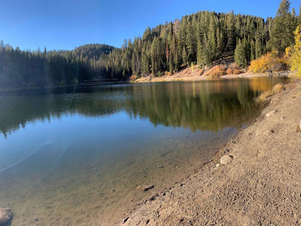 Packsaddle Lake photo 4