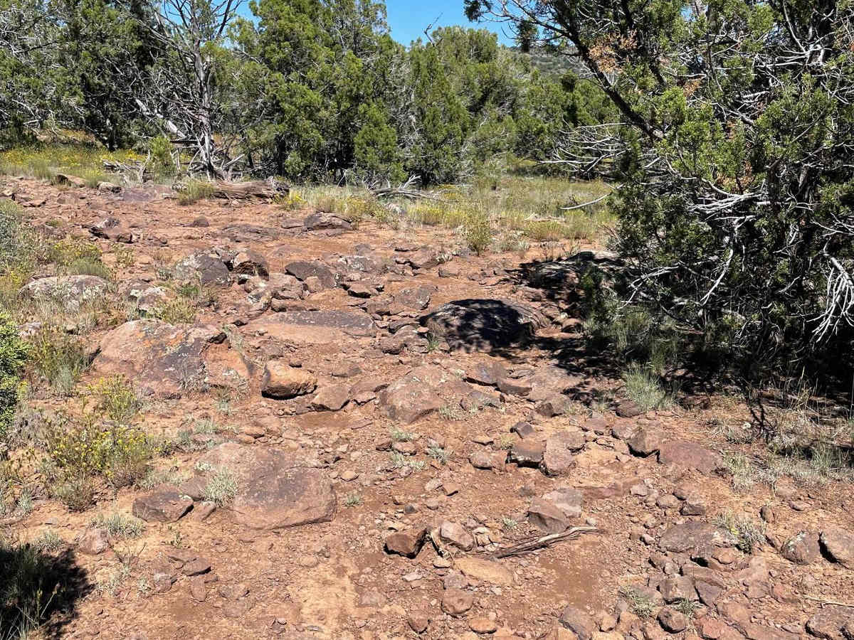 Rock Rodeo Hill photo 5