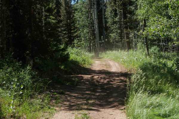  Aspen Range - Middle Sulphur #5248 