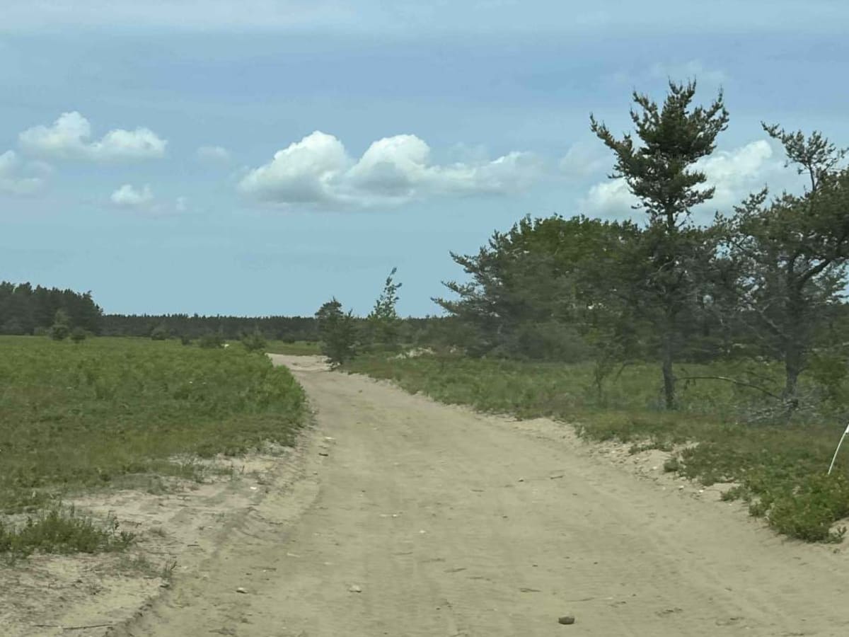 FS 3608 photo 5