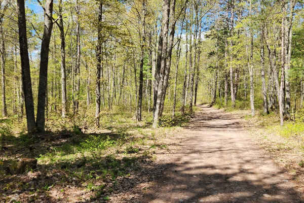 Tuscobia State Trail - Park Falls to Loretta