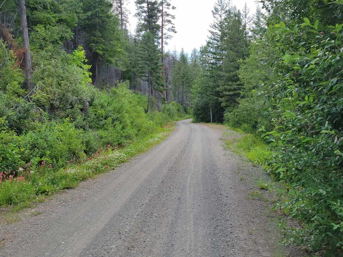 FR 4430 - War Creek/West Twisp River photo 4