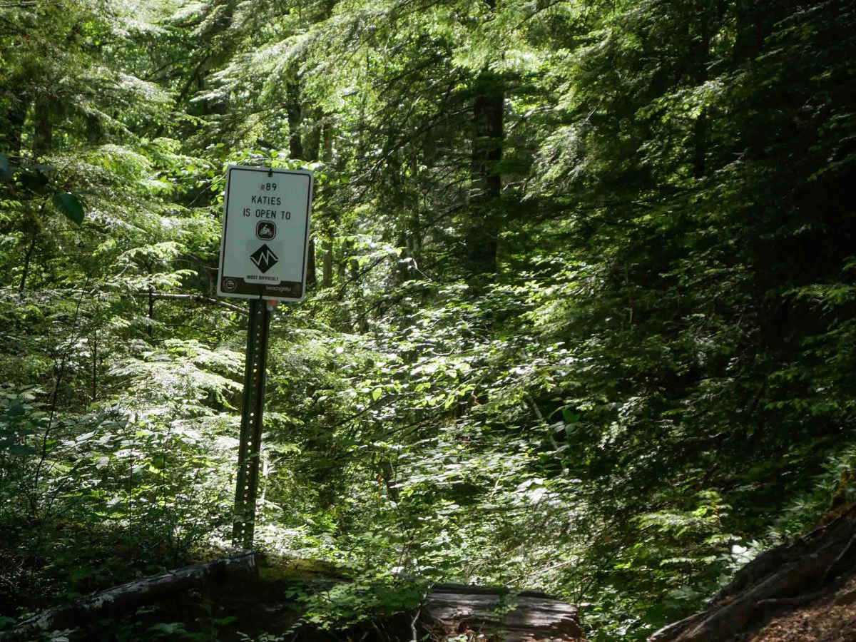 Katies #89 trail photo