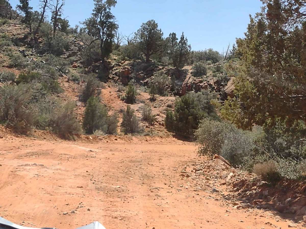 Energy Corridor Rd to Manganese Spring photo 5