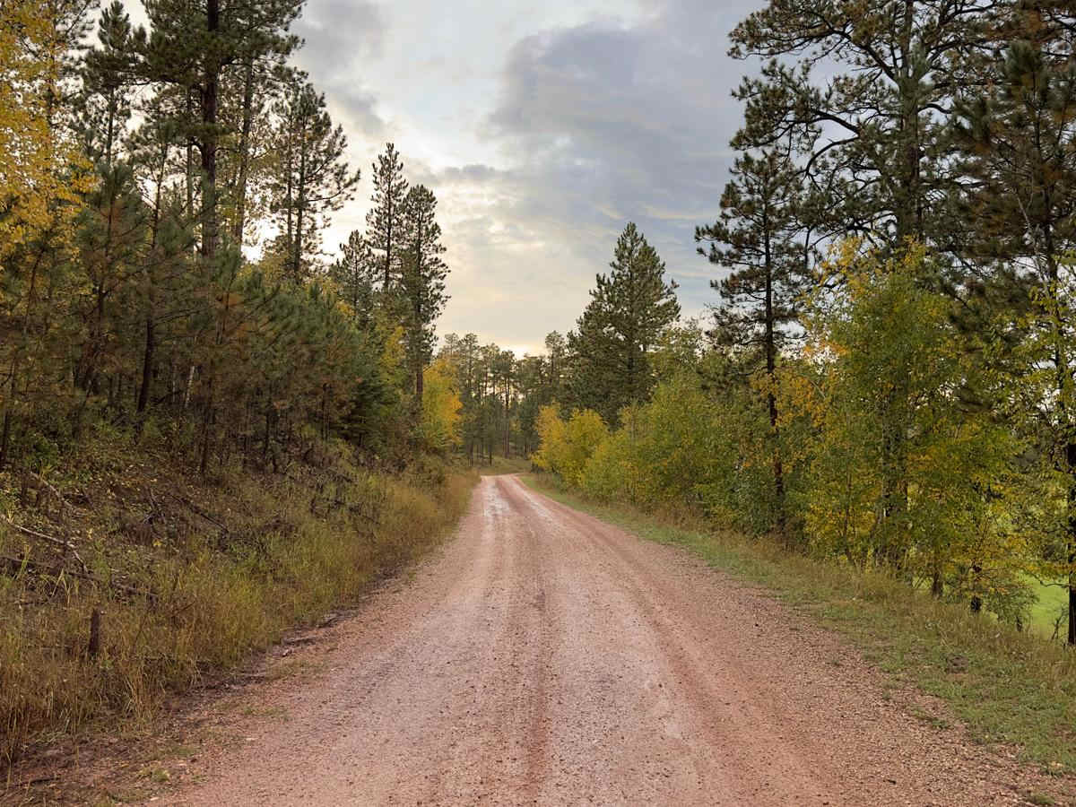 Kelly Spur Road (FS 136) Loop trail photo