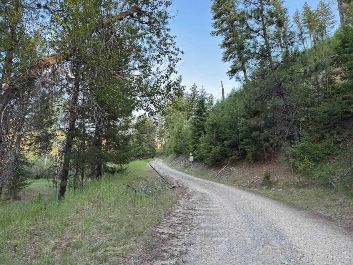 Andrews Creek photo 5