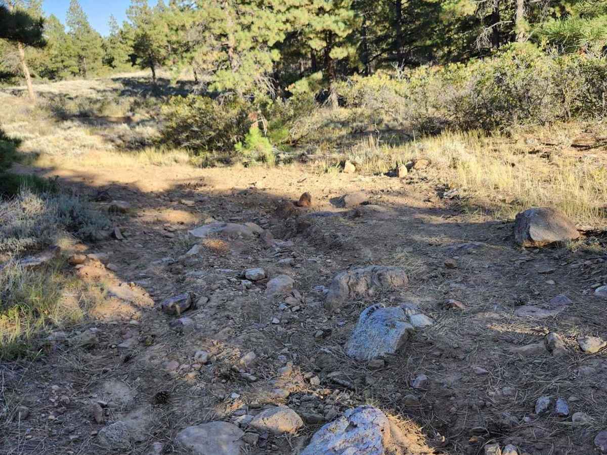 Lower Stock Pond Trail photo 4