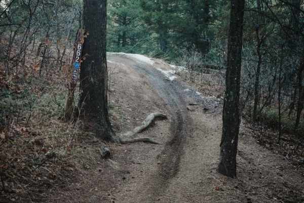 662 ATV Trail