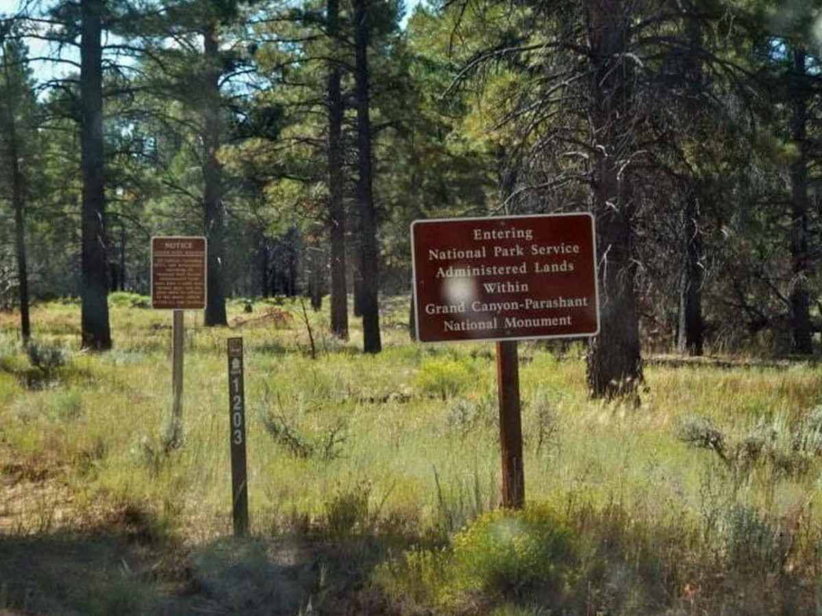 Kelly Point Trail NPS 1203 photo 2