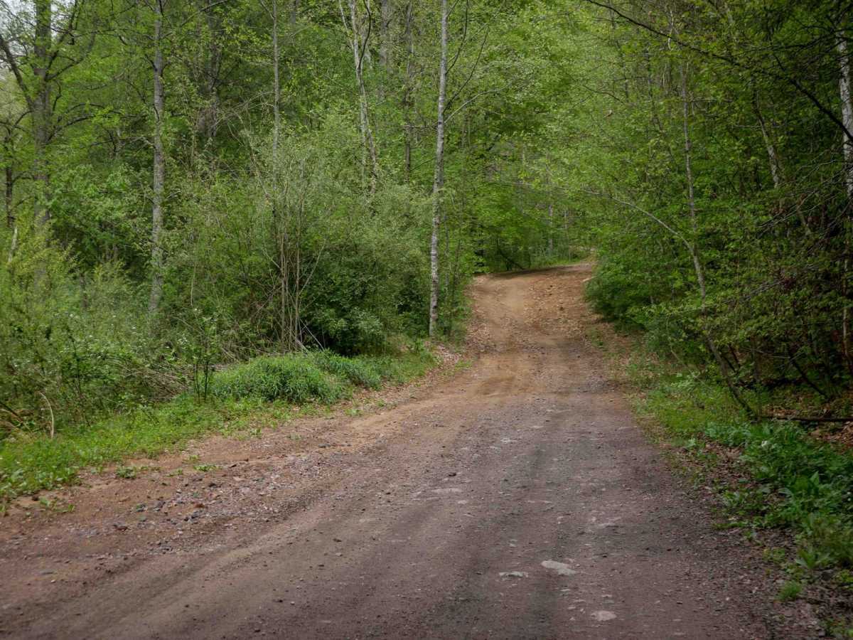 W17 trail photo