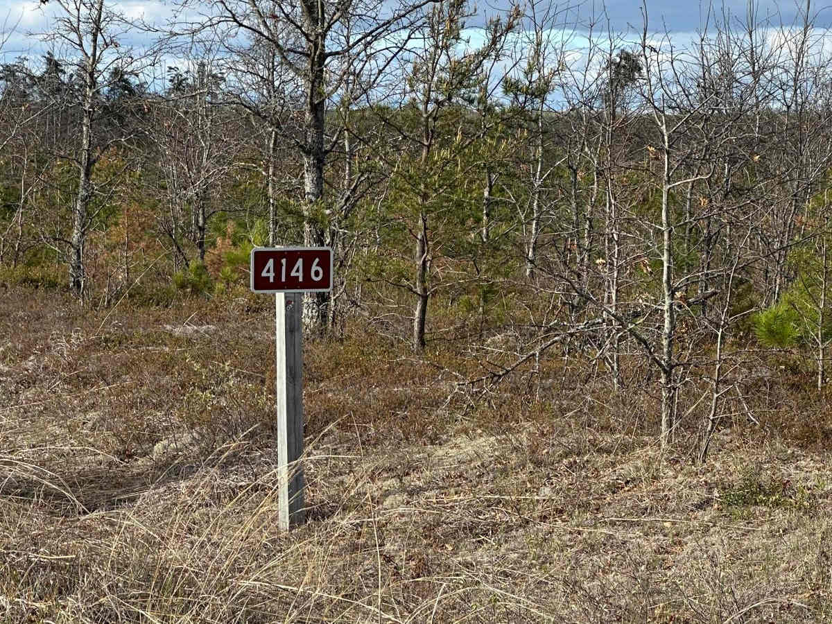 FS 4146 trail photo