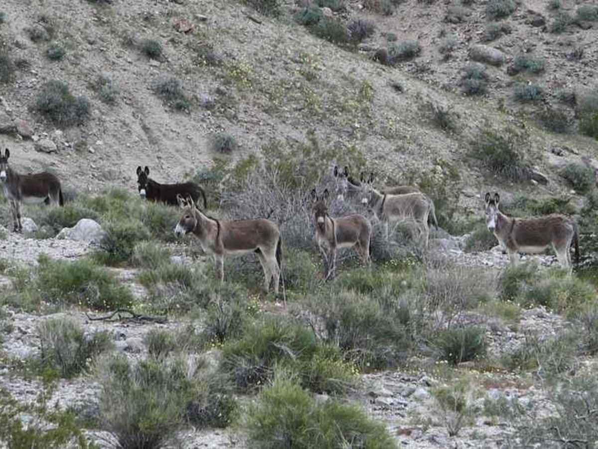 Devil's Cove Road photo 6