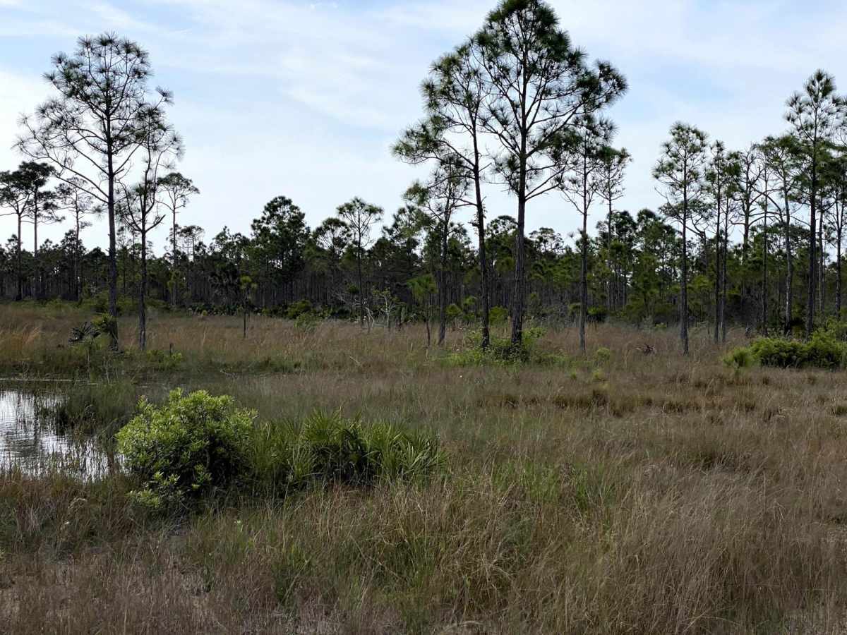 Seminole Grade photo 6