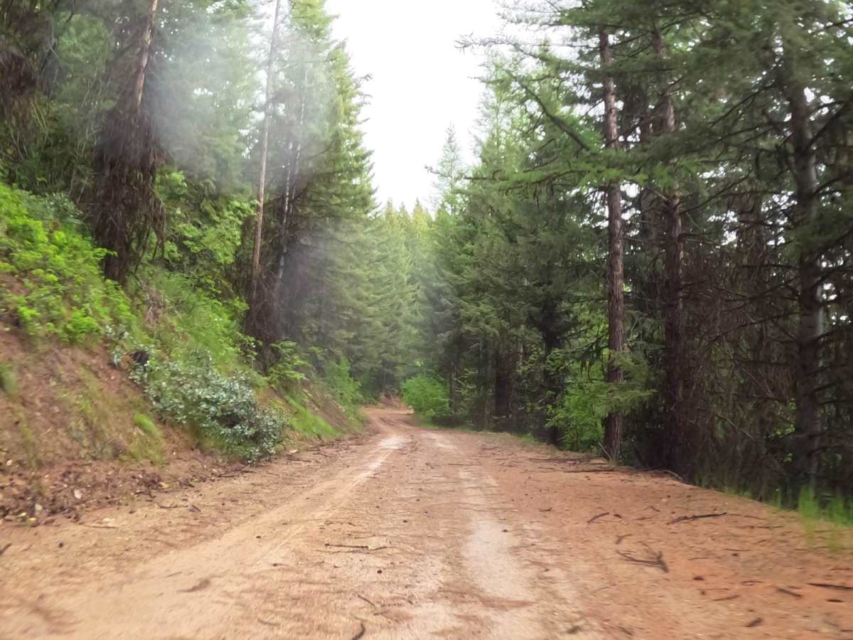 Second Creek Road-First Creek Road photo 3
