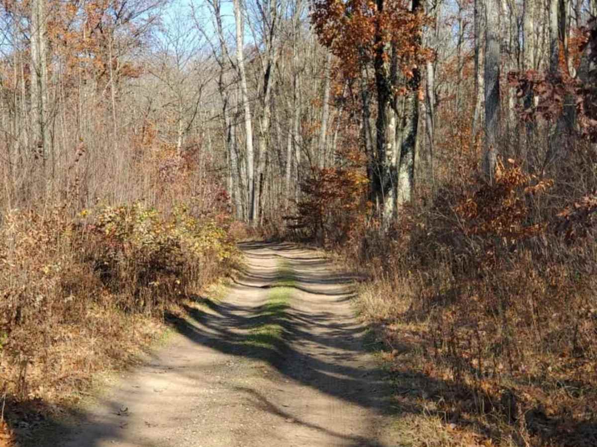 Trail 5321 photo 4
