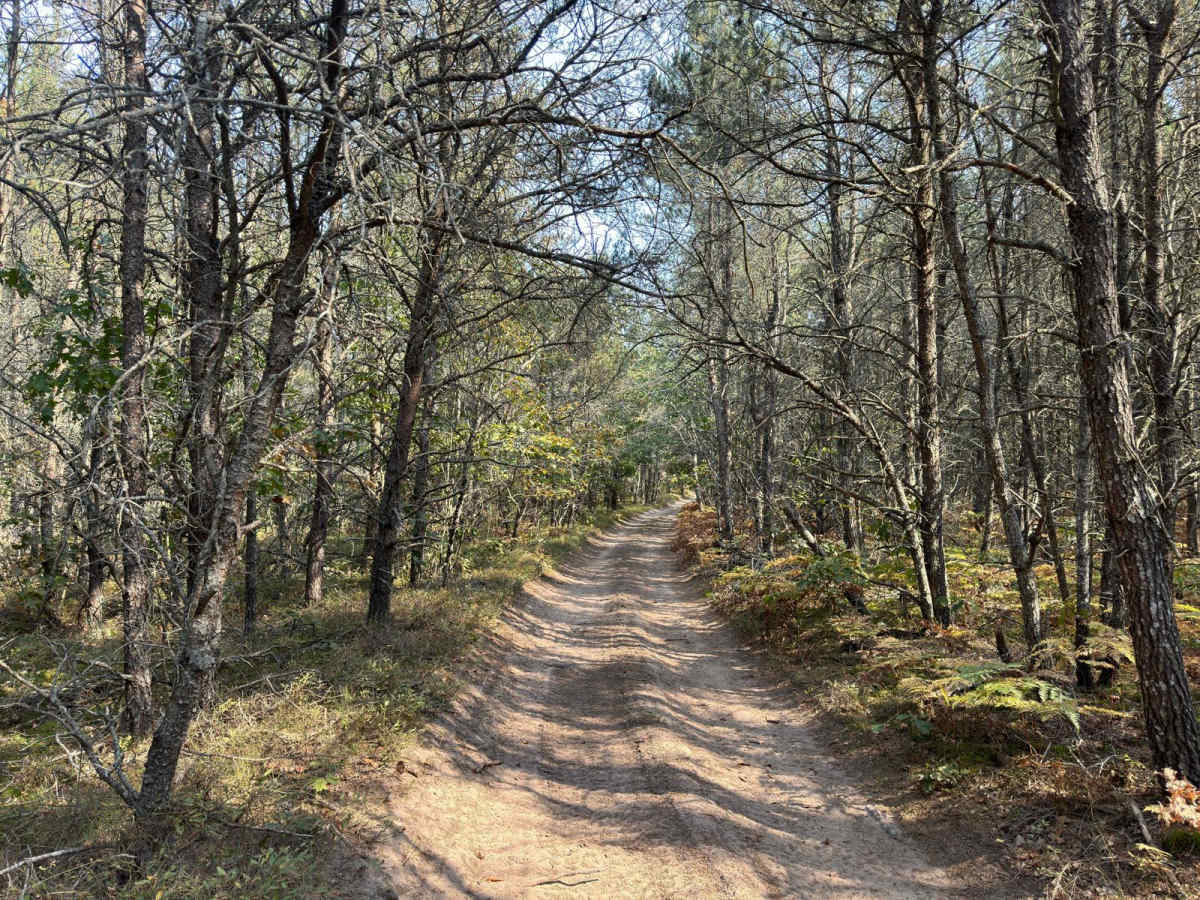 Jack's Trail photo 2