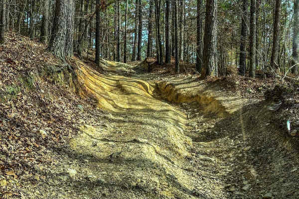 Upper Ridge Trail