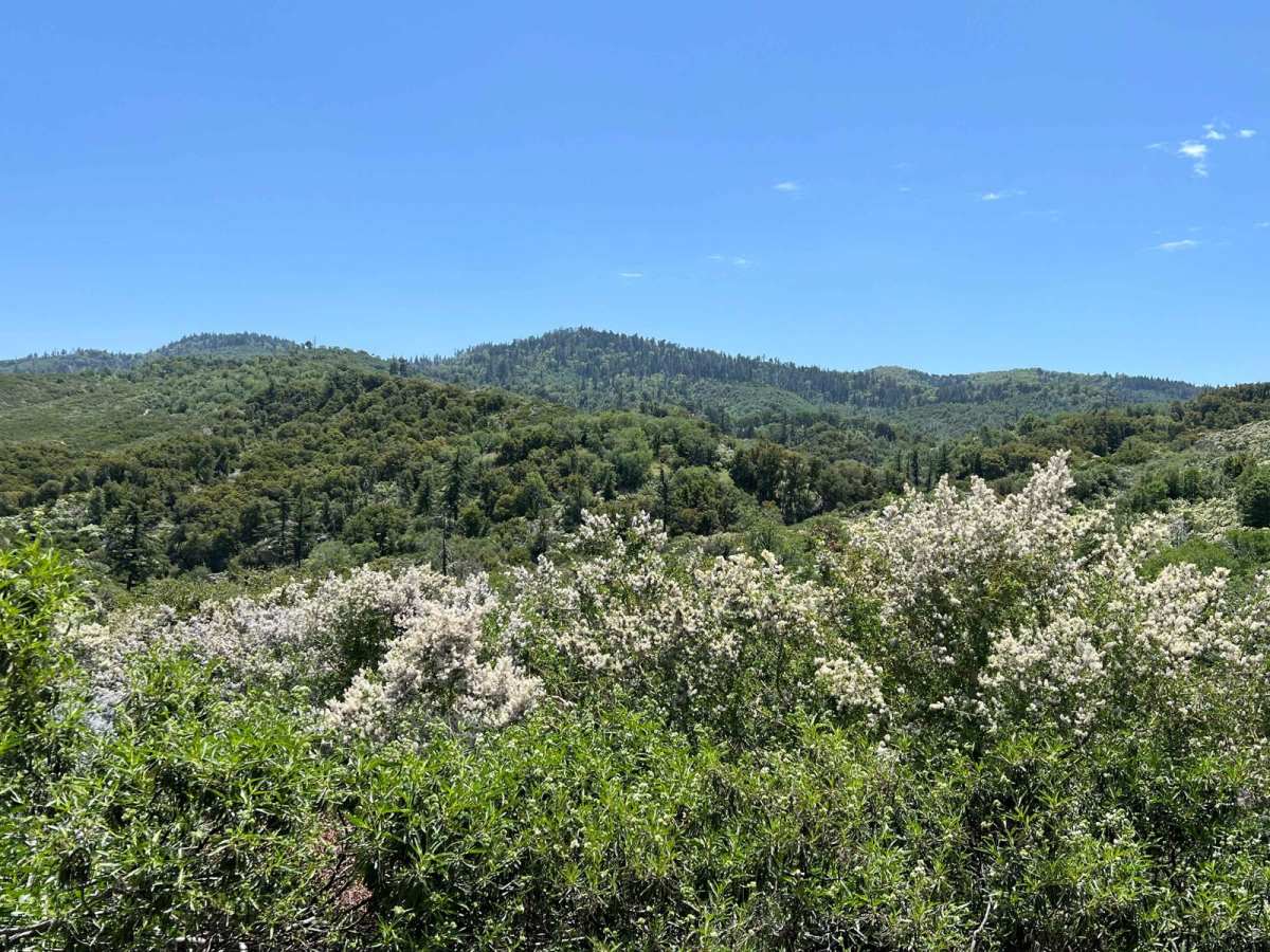 Bailey Canyon photo 4