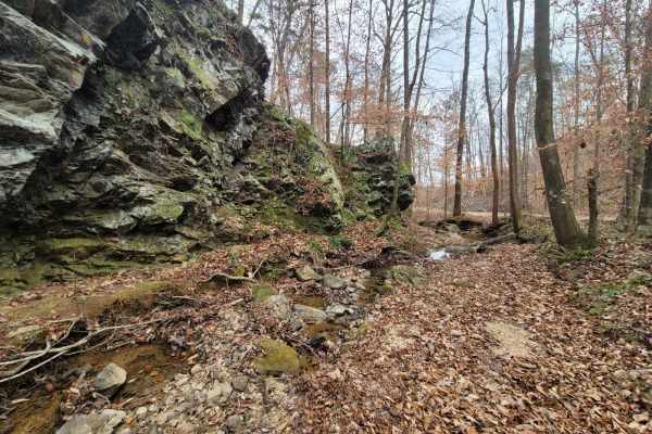 Kings Gap Mountain Road