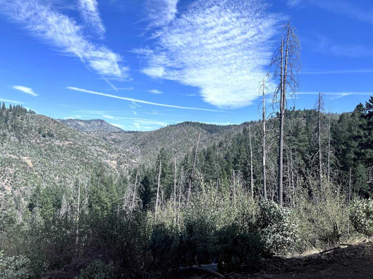 Packard Canyon Road photo 3