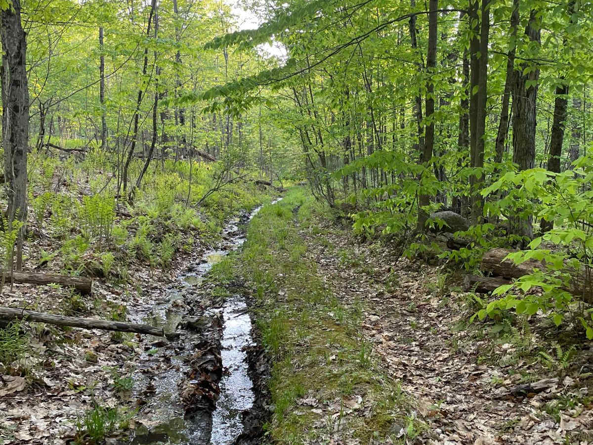 Farnum Road photo 2