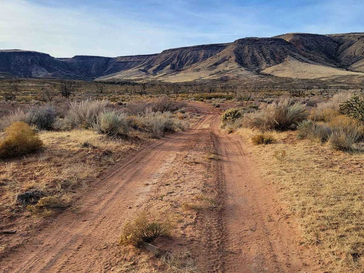 BLM 1606 trail photo