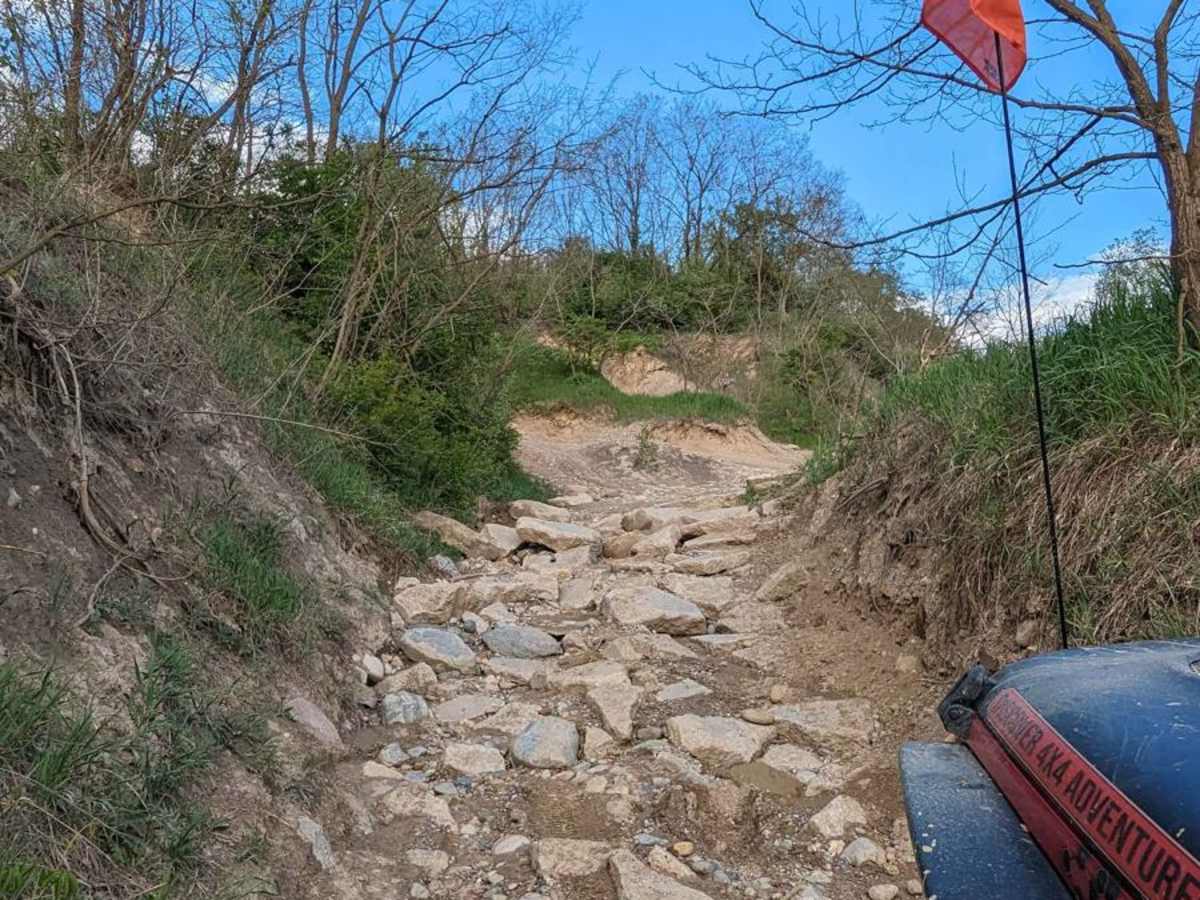 Nut Check trail photo