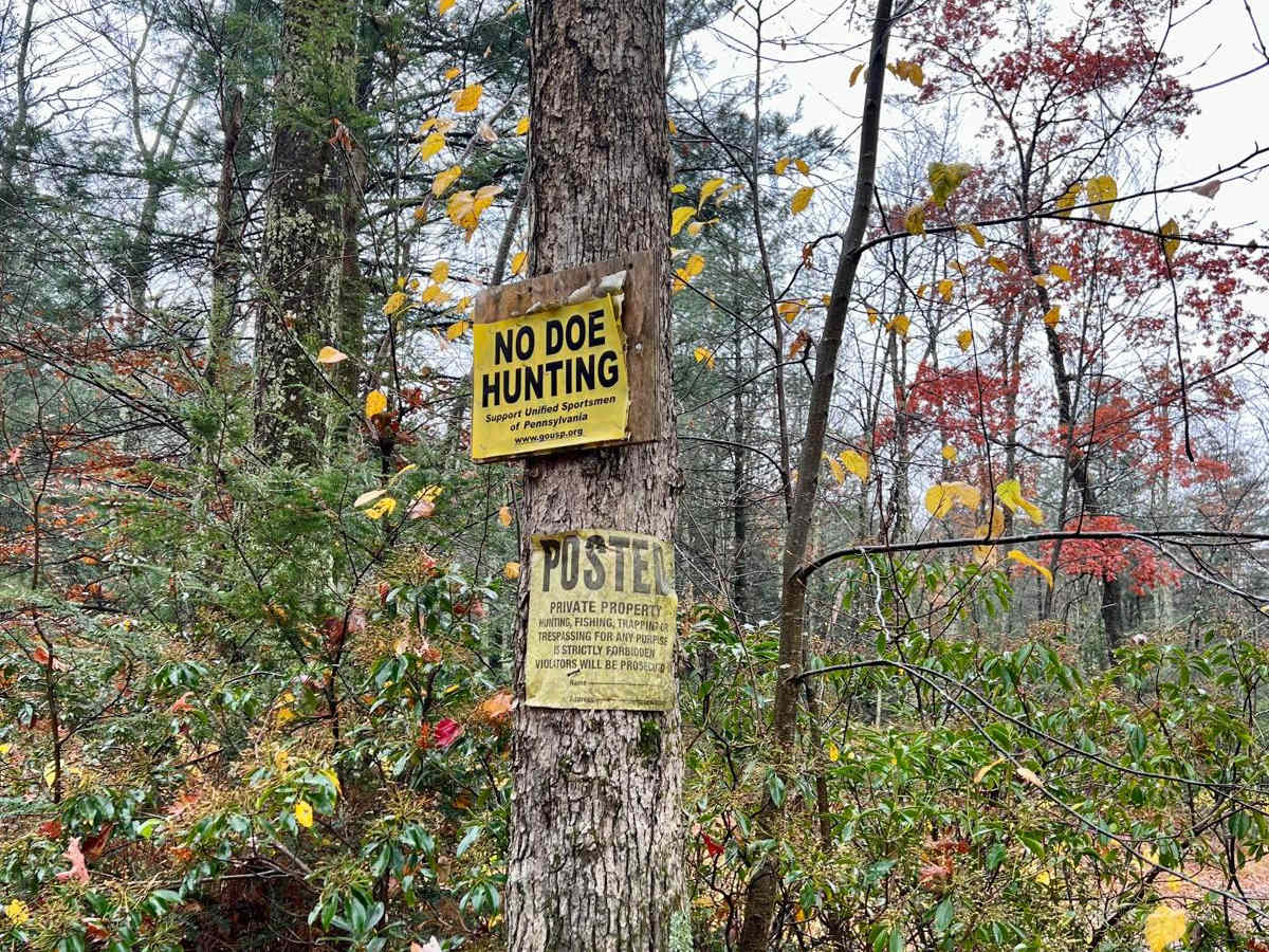 Pepper Run Road photo 6
