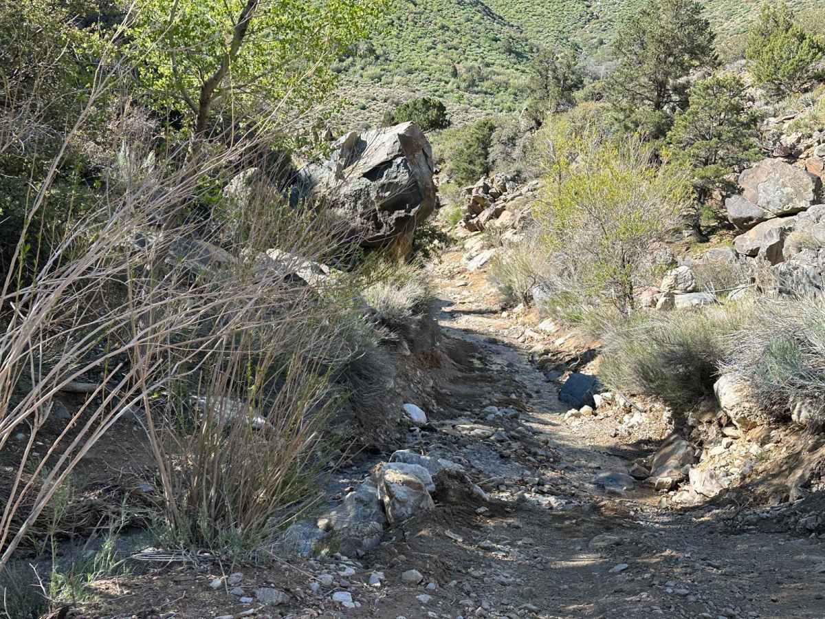 Hells Hole Pass Road photo 2
