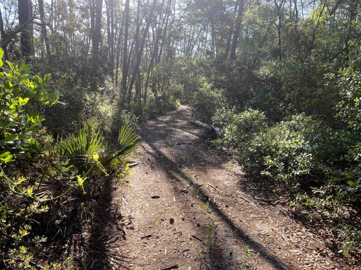 FR 9-11.4 trail photo