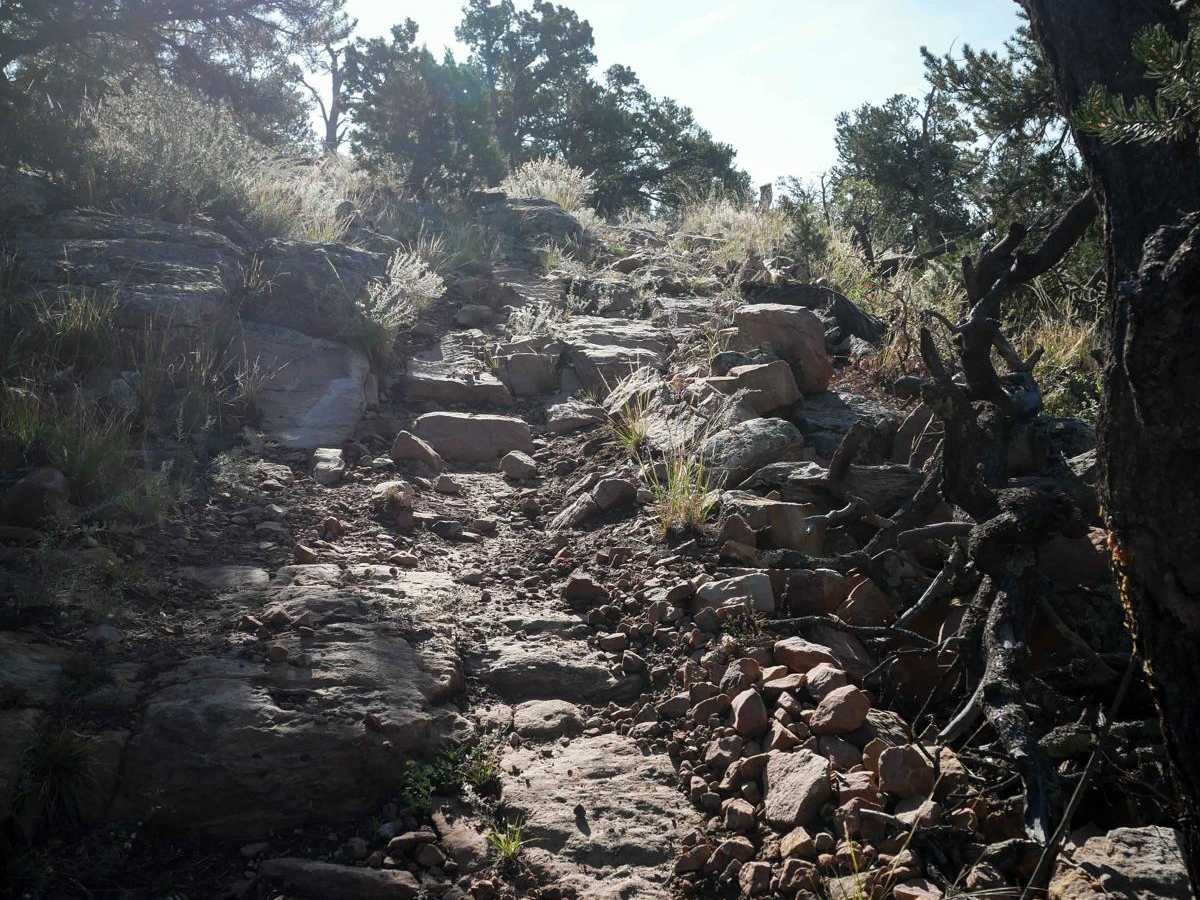 Fred Garza Memorial Trail trail photo