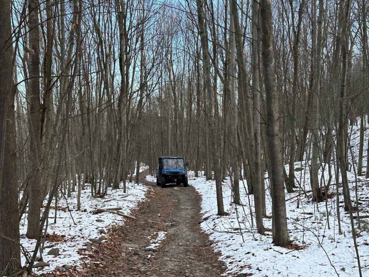 Locust Gap 31 photo 2