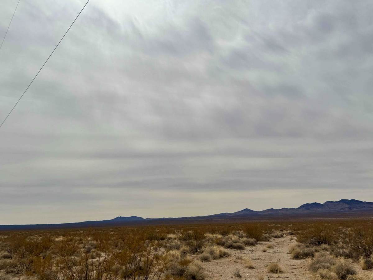 Chilly Willy trail photo
