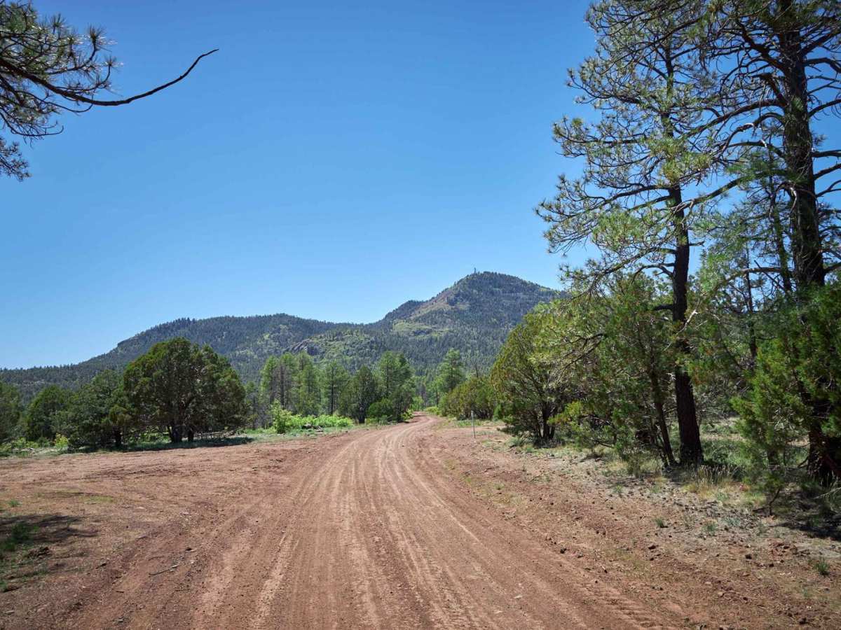 Bill Williams Mountain photo 3