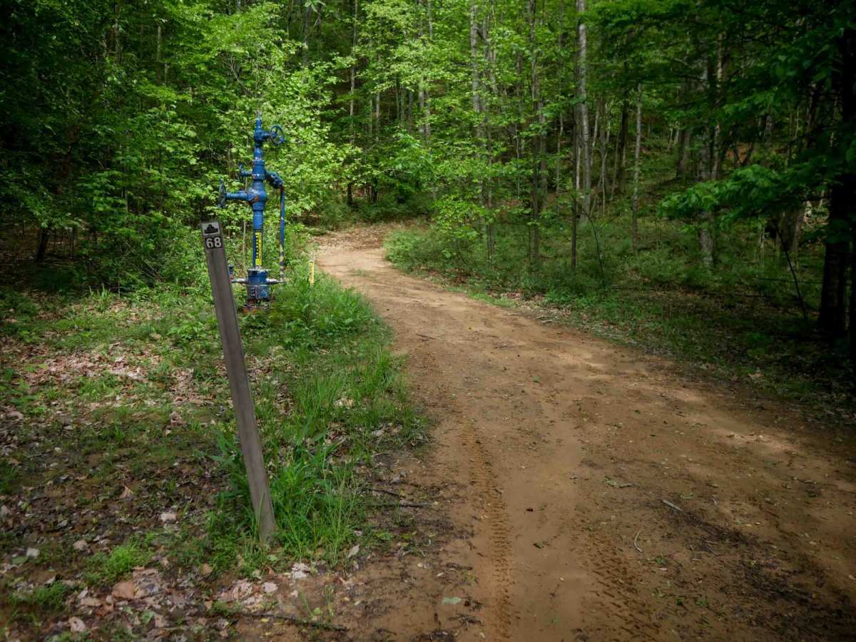 B68 trail photo