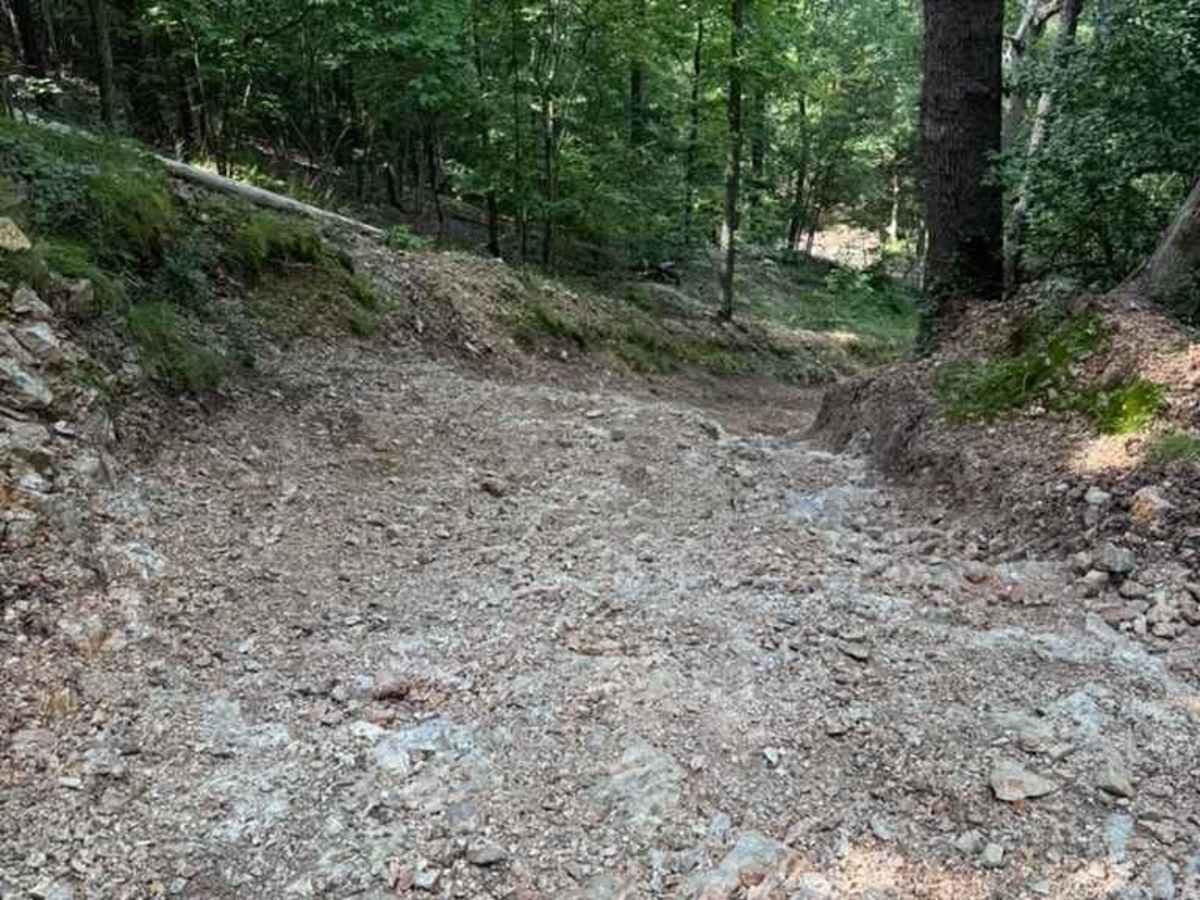 Sara's Trail photo 5