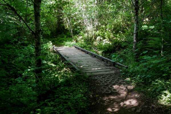 Spaur Creek #39