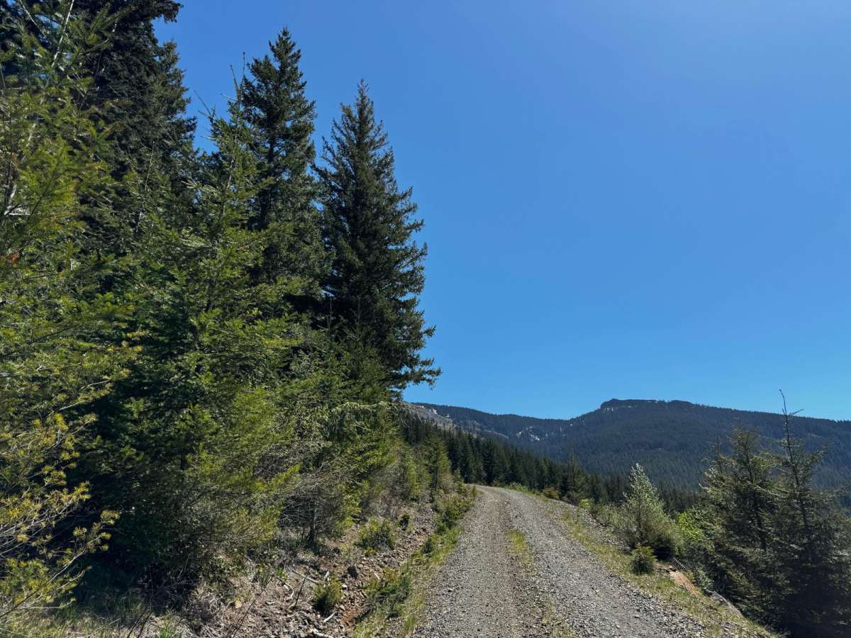1180 and 1182 trail photo