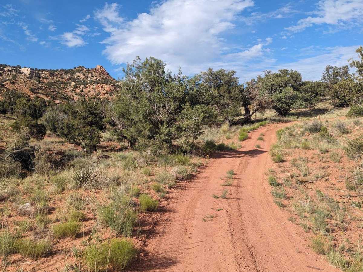Cottonwood Point photo 2