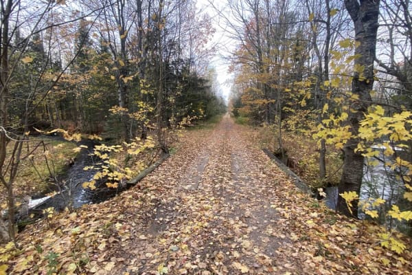 Camp Four Trail