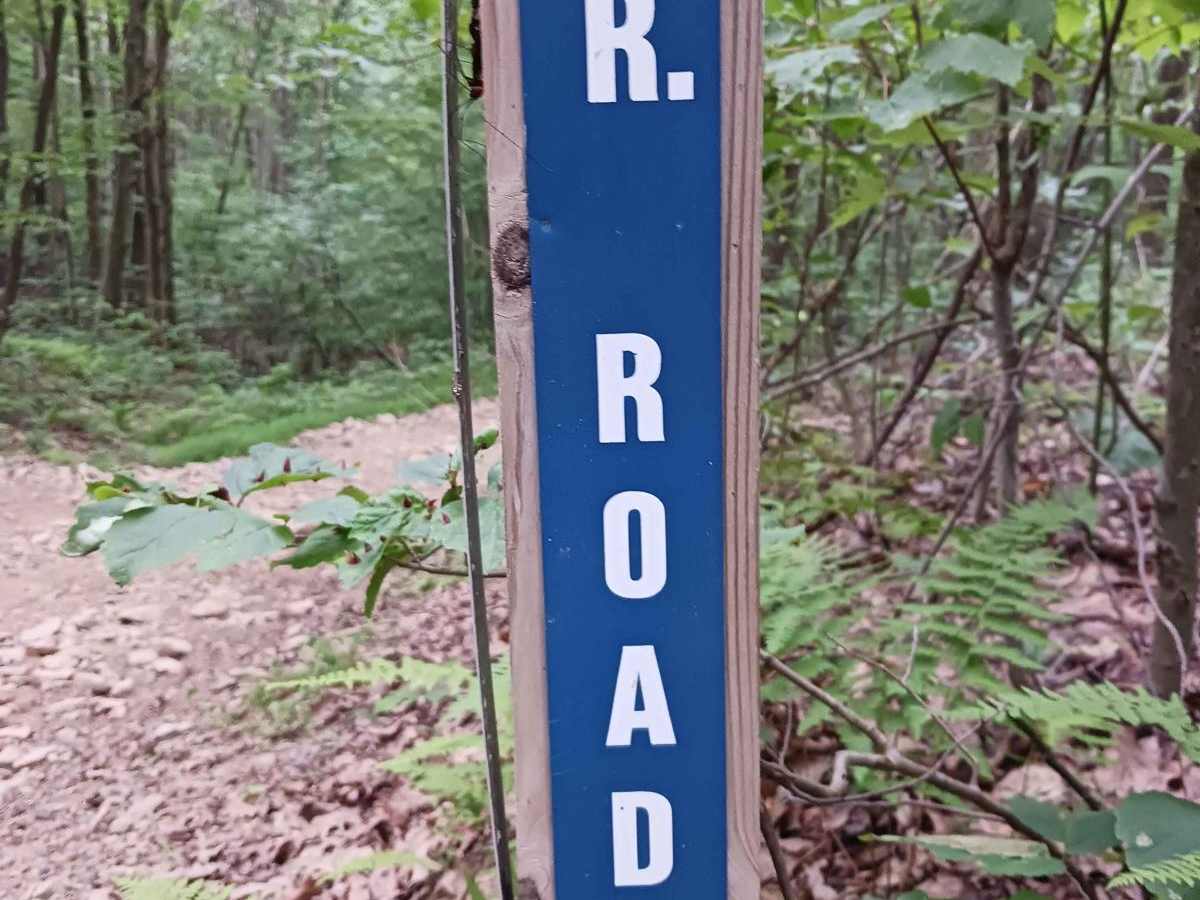 WR Road - Rock Run Recreation Area trail photo