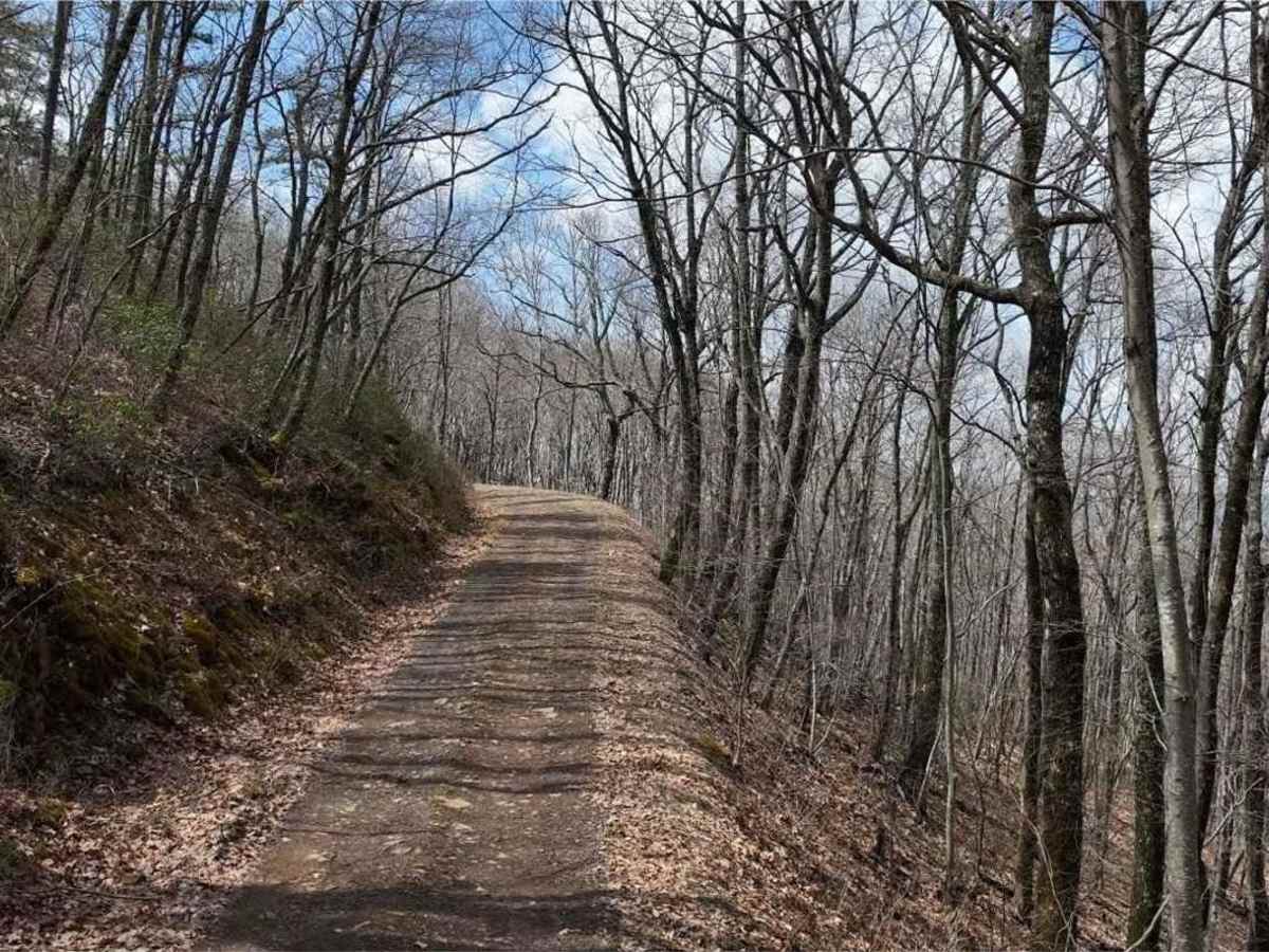 Hite Hollow photo 3