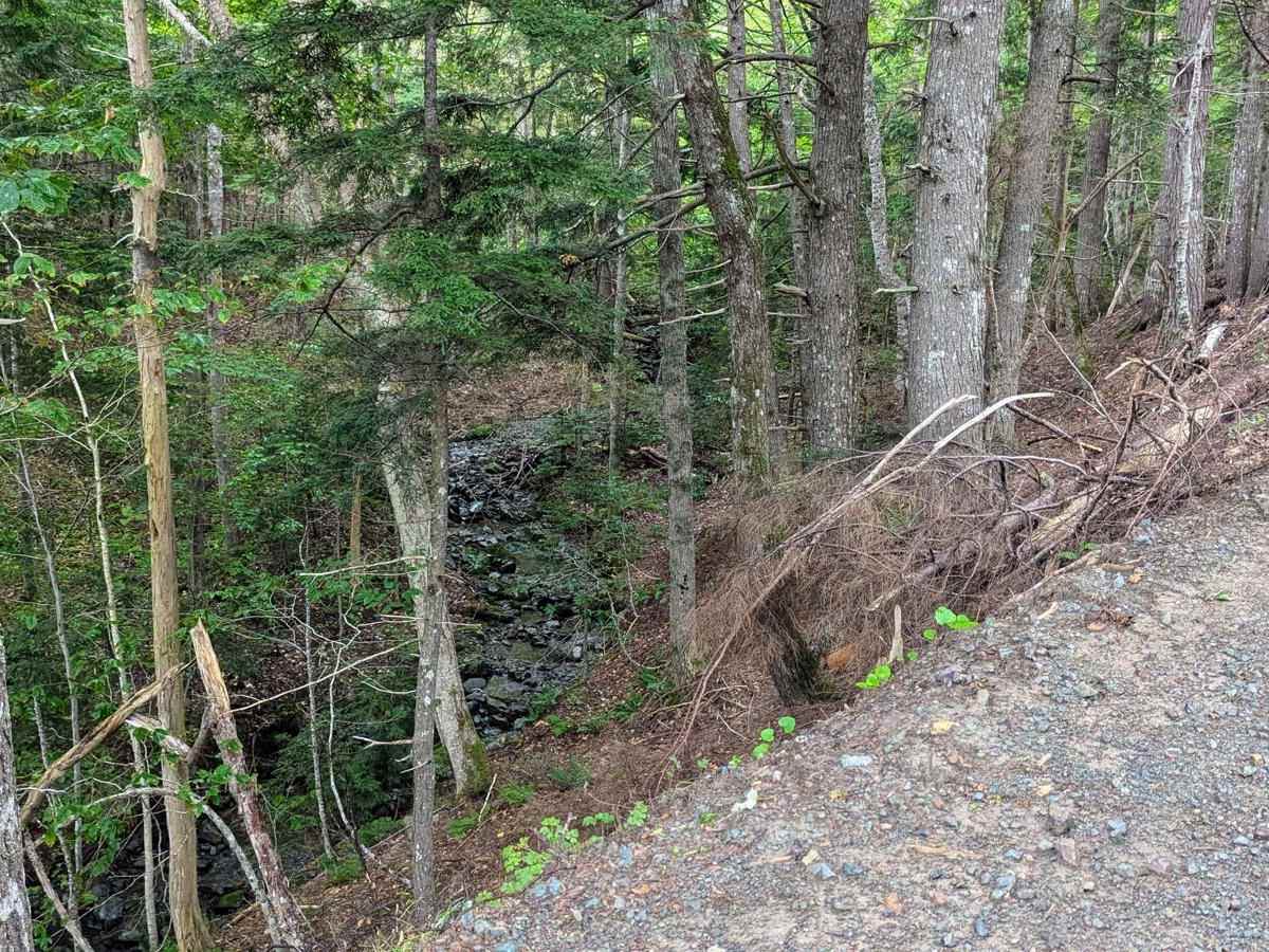 Browns Mountain Road photo 2