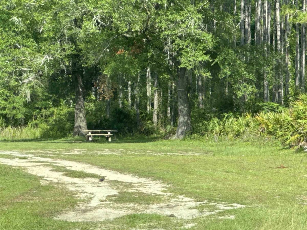 West River Road photo 6