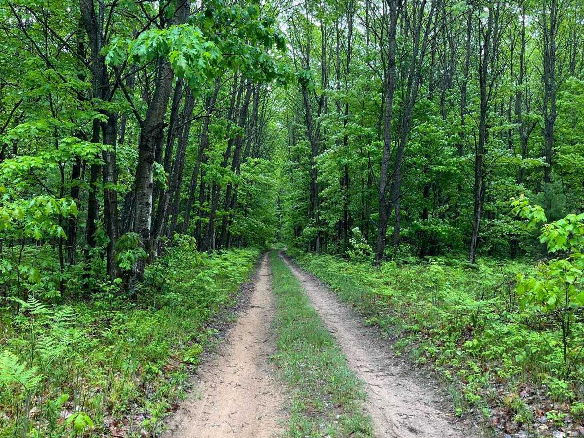 Cadillac Pathway #2 photo 2